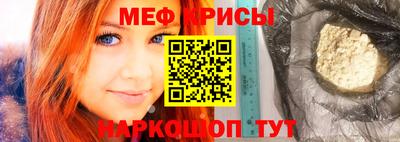 стаф Кингисепп