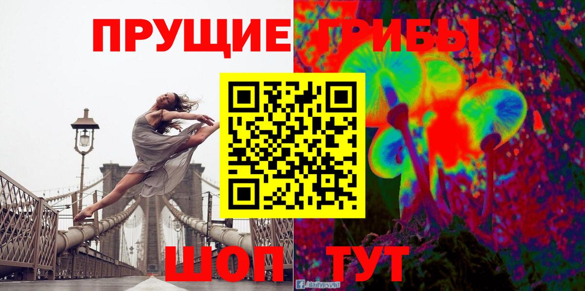 Лосино-Петровский  Псилоцибиновые грибы Psilocybe  Псилоцибиновые грибы прущие грибы  Вход с VPN 