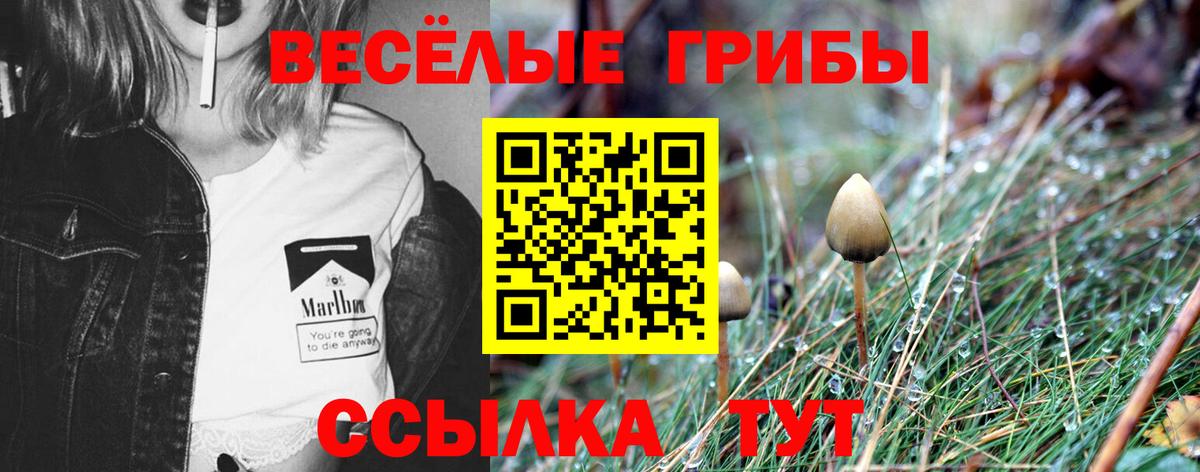 Псилоцибиновые грибы MAGIC MUSHROOMS Лосино-Петровский