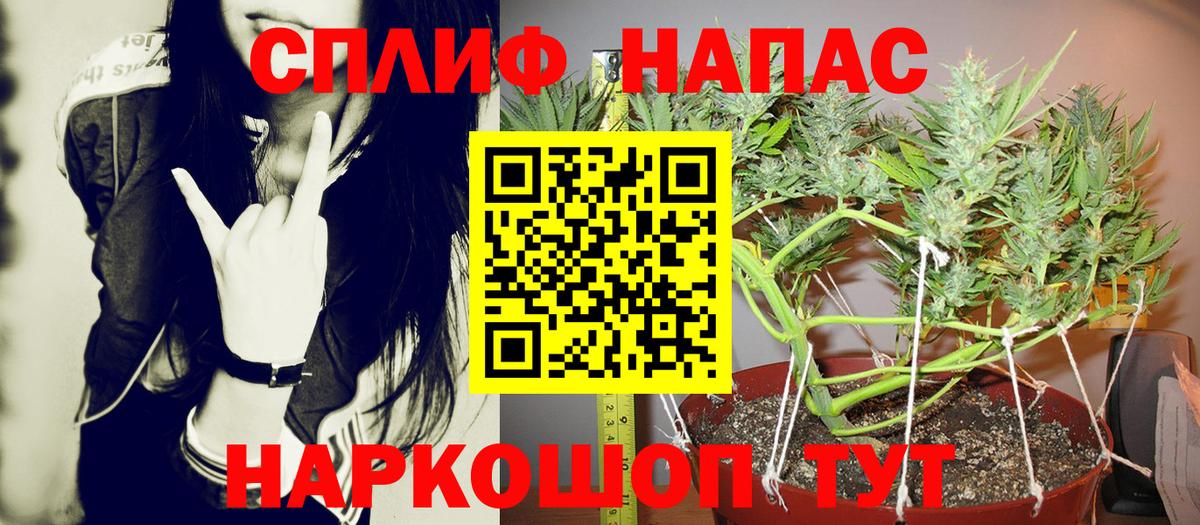 Псилоцибиновые грибы Лосино-Петровский